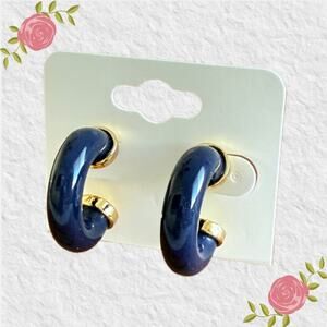 Talbots Resin Huggie Hoop Earrings